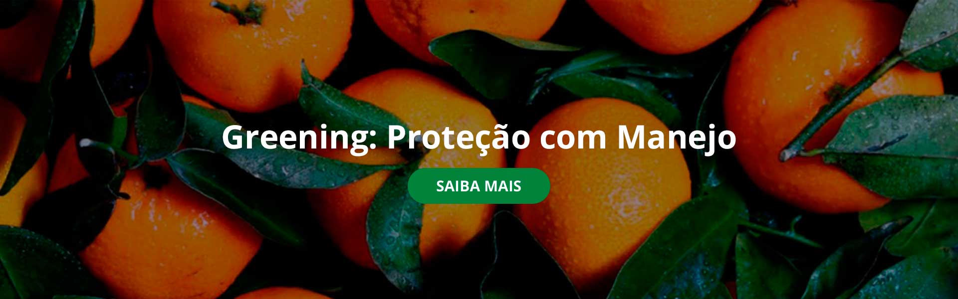 Visando a Sustentabilidade do Agronegócio brasileiro.