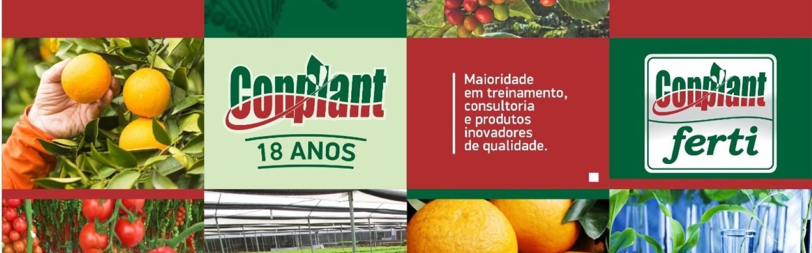 Visando a Sustentabilidade do Agronegócio brasileiro.