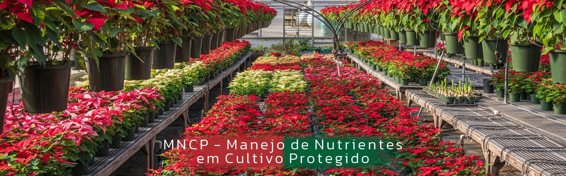 Visando a Sustentabilidade do Agronegócio brasileiro.